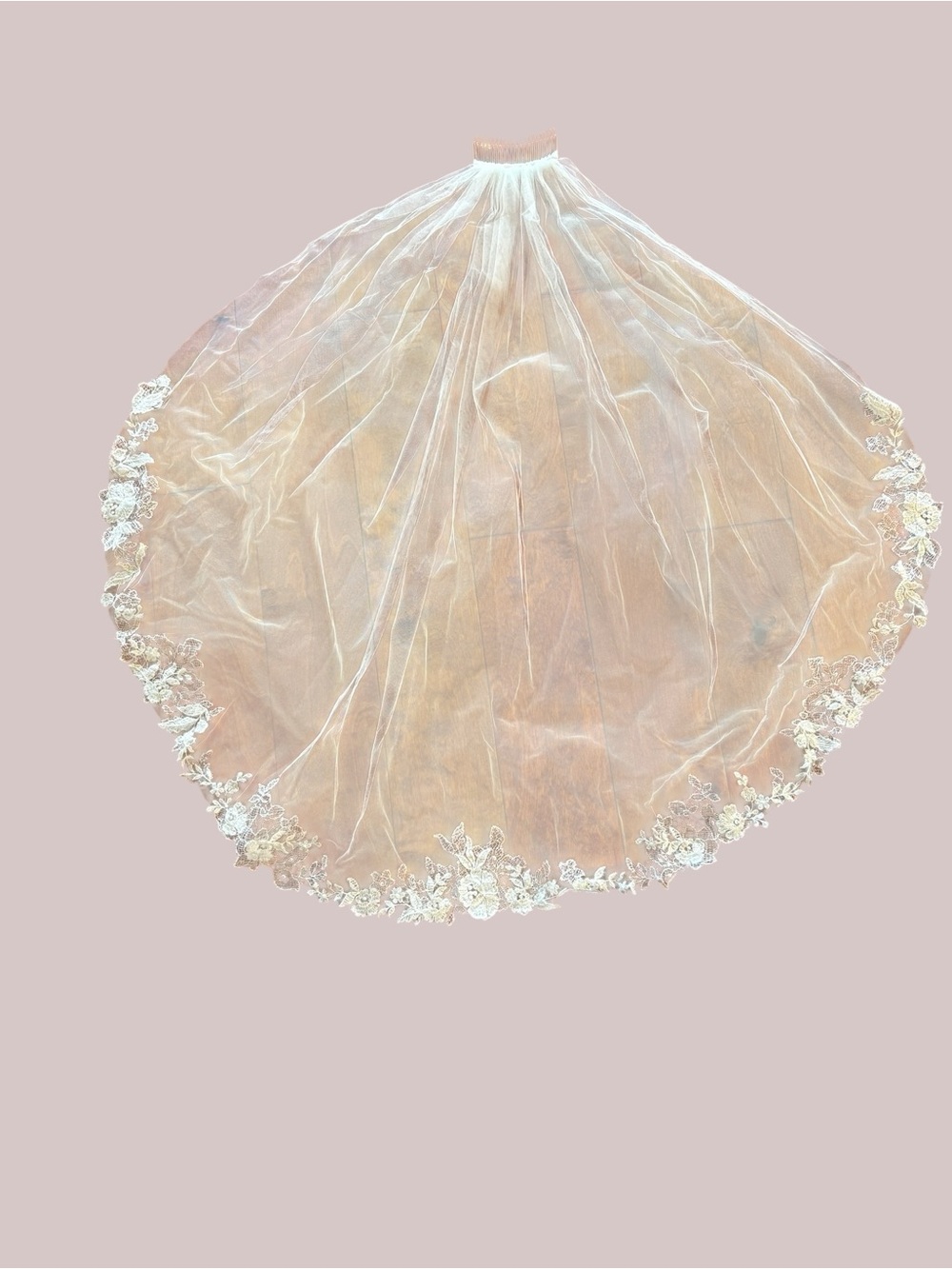 Lace Trim Bridal Veil in Ivory